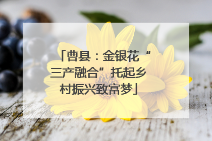 曹县：金银花“三产融合”托起乡村振兴致富梦