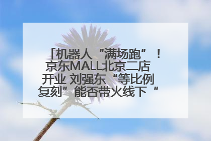 机器人“满场跑”！京东MALL北京二店开业 刘强东“等比例复刻”能否带火线下“618”？