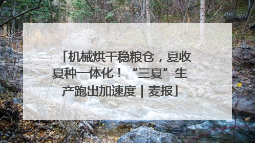 机械烘干稳粮仓，夏收夏种一体化！“三夏”生产跑出加速度｜麦报