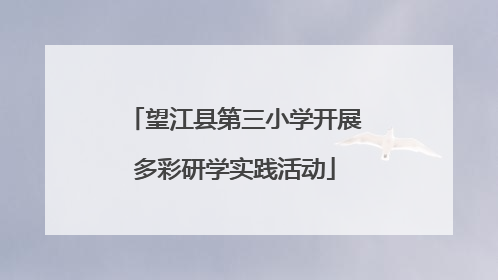 望江县第三小学开展多彩研学实践活动