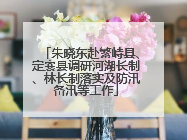 朱晓东赴繁峙县、定襄县调研河湖长制、林长制落实及防汛备汛等工作