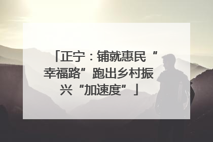 正宁：铺就惠民“幸福路”跑出乡村振兴“加速度”