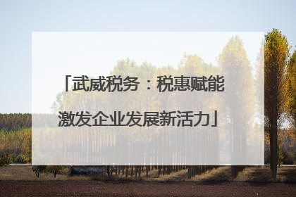 武威税务：税惠赋能 激发企业发展新活力