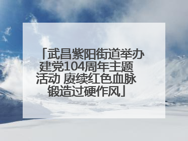武昌紫阳街道举办建党104周年主题活动 赓续红色血脉锻造过硬作风