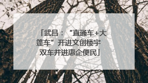 武昌：“直通车+大篷车”开进文创楼宇 双车并进惠企便民