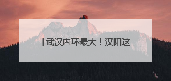 武汉内环最大！汉阳这片6月顶流花海开了