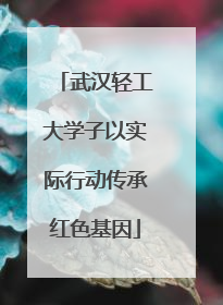 武汉轻工大学子以实际行动传承红色基因