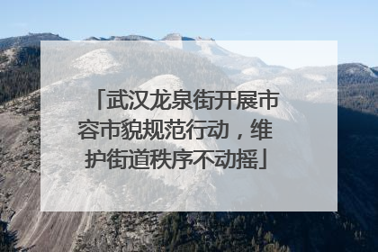 武汉龙泉街开展市容市貌规范行动，维护街道秩序不动摇