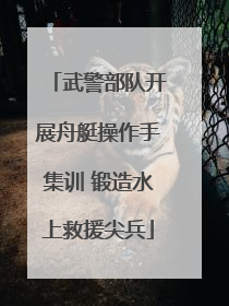 武警部队开展舟艇操作手集训 锻造水上救援尖兵