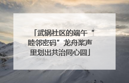 武锅社区的端午“睦邻密码”龙舟桨声里划出共治同心圆