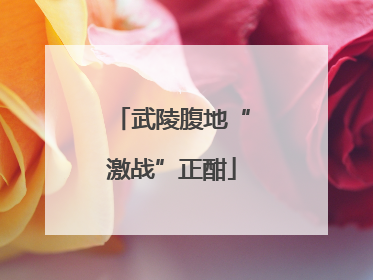 武陵腹地“激战”正酣