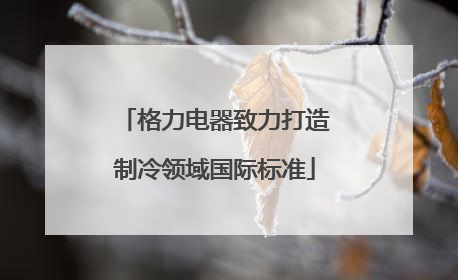 格力电器致力打造制冷领域国际标准