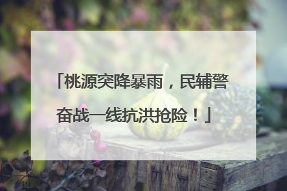 桃源突降暴雨，民辅警奋战一线抗洪抢险！