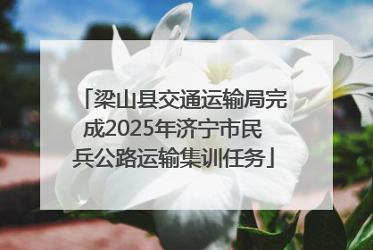 梁山县交通运输局完成2025年济宁市民兵公路运输集训任务