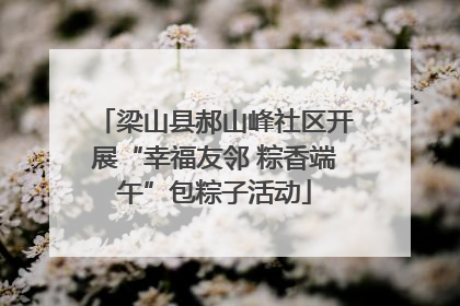 梁山县郝山峰社区开展“幸福友邻 粽香端午”包粽子活动