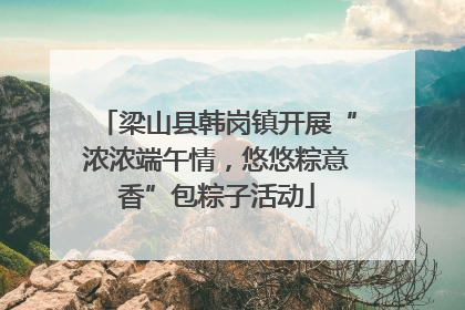 梁山县韩岗镇开展“浓浓端午情，悠悠粽意香”包粽子活动