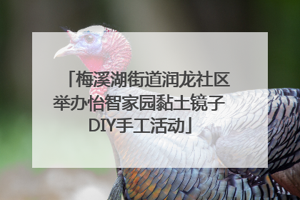 梅溪湖街道润龙社区举办怡智家园黏土镜子DIY手工活动