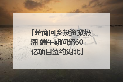 楚商回乡投资掀热潮 端午期间超60亿项目签约湖北