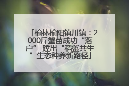 榆林榆阳镇川镇：2000斤蟹苗成功“落户” 蹚出“稻蟹共生”生态种养新路径