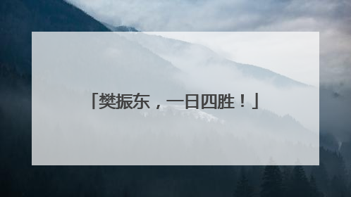 樊振东，一日四胜！