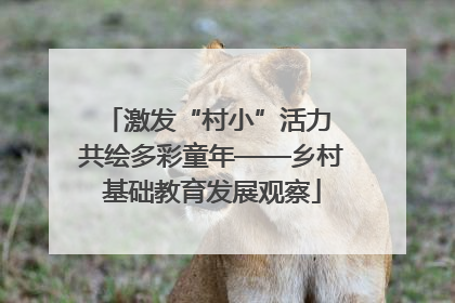 激发“村小”活力 共绘多彩童年——乡村基础教育发展观察