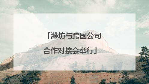 潍坊与跨国公司合作对接会举行