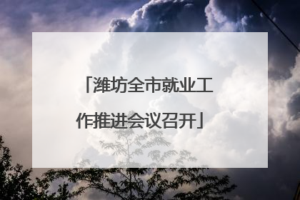 潍坊全市就业工作推进会议召开