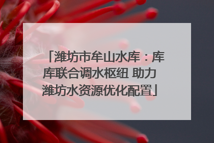 潍坊市牟山水库：库库联合调水枢纽 助力潍坊水资源优化配置