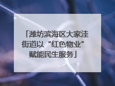 潍坊滨海区大家洼街道以“红色物业”赋能民生服务