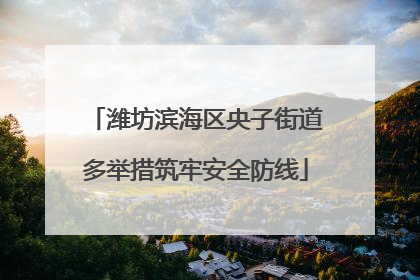 潍坊滨海区央子街道多举措筑牢安全防线