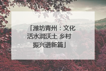 潍坊青州：文化活水润沃土 乡村振兴谱新篇