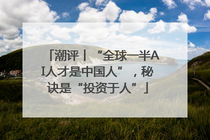 潮评丨“全球一半AI人才是中国人”，秘诀是“投资于人”