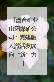 澄合矿业山阳煤矿公司：党建融入激活发展向“新”力