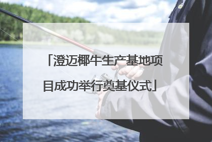 澄迈椰牛生产基地项目成功举行奠基仪式