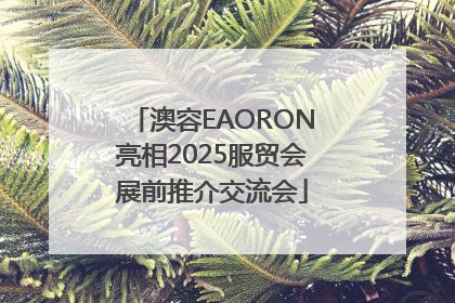 澳容EAORON亮相2025服贸会展前推介交流会
