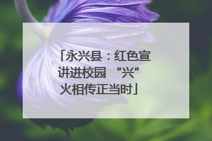 永兴县：红色宣讲进校园 “兴”火相传正当时