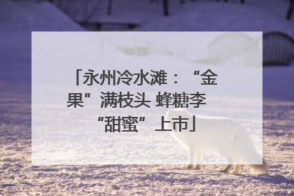 永州冷水滩：“金果”满枝头 蜂糖李“甜蜜”上市
