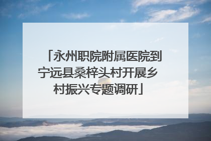 永州职院附属医院到宁远县桑梓头村开展乡村振兴专题调研