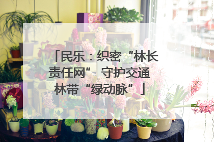 民乐：织密“林长责任网” 守护交通林带“绿动脉”