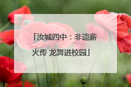 汝城四中：非遗薪火传 龙舞进校园
