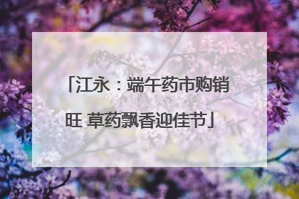江永：端午药市购销旺 草药飘香迎佳节