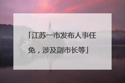 江苏一市发布人事任免，涉及副市长等