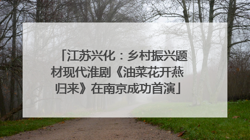 江苏兴化：乡村振兴题材现代淮剧《油菜花开燕归来》在南京成功首演