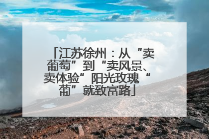 江苏徐州：从“卖葡萄”到“卖风景、卖体验”阳光玫瑰“葡”就致富路
