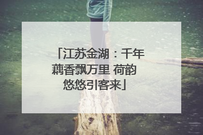 江苏金湖：千年藕香飘万里 荷韵悠悠引客来