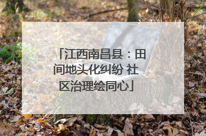江西南昌县：田间地头化纠纷 社区治理绘同心