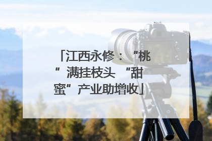 江西永修：“桃”满挂枝头 “甜蜜”产业助增收