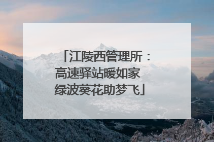 江陵西管理所：高速驿站暖如家 绿波葵花助梦飞