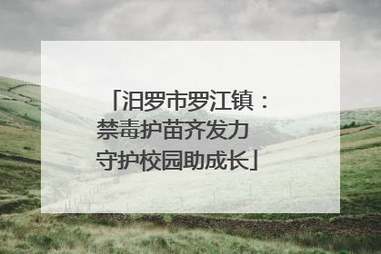 汨罗市罗江镇：禁毒护苗齐发力 守护校园助成长