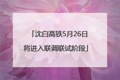 沈白高铁5月26日将进入联调联试阶段